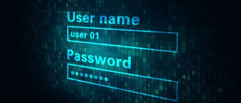 从“零信任”开始 构筑网络安全与信息安全软件开发的新基石